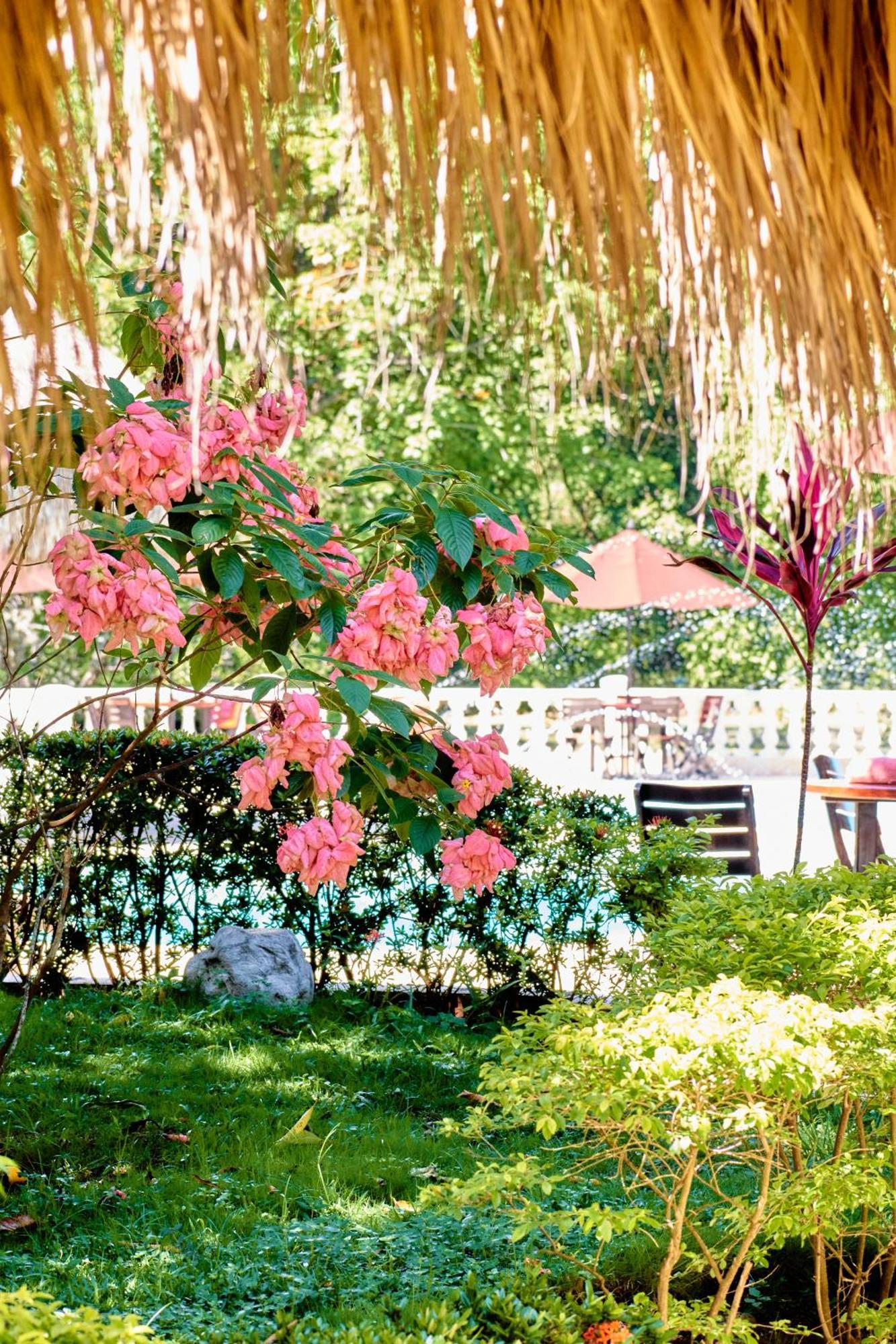 La Iguana De Santa Fe By Bernalo Hotels Santa Fe de Antioquia Exterior photo